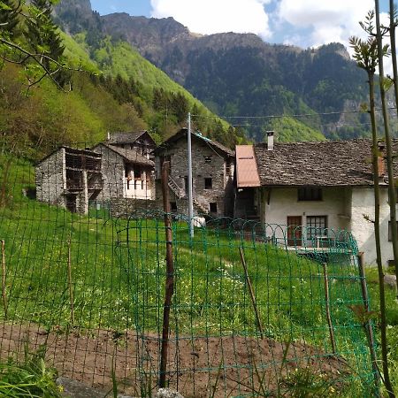 Il Fiume Di Fianco. Appartamento Alta Valsesia Mollia Eksteriør bilde