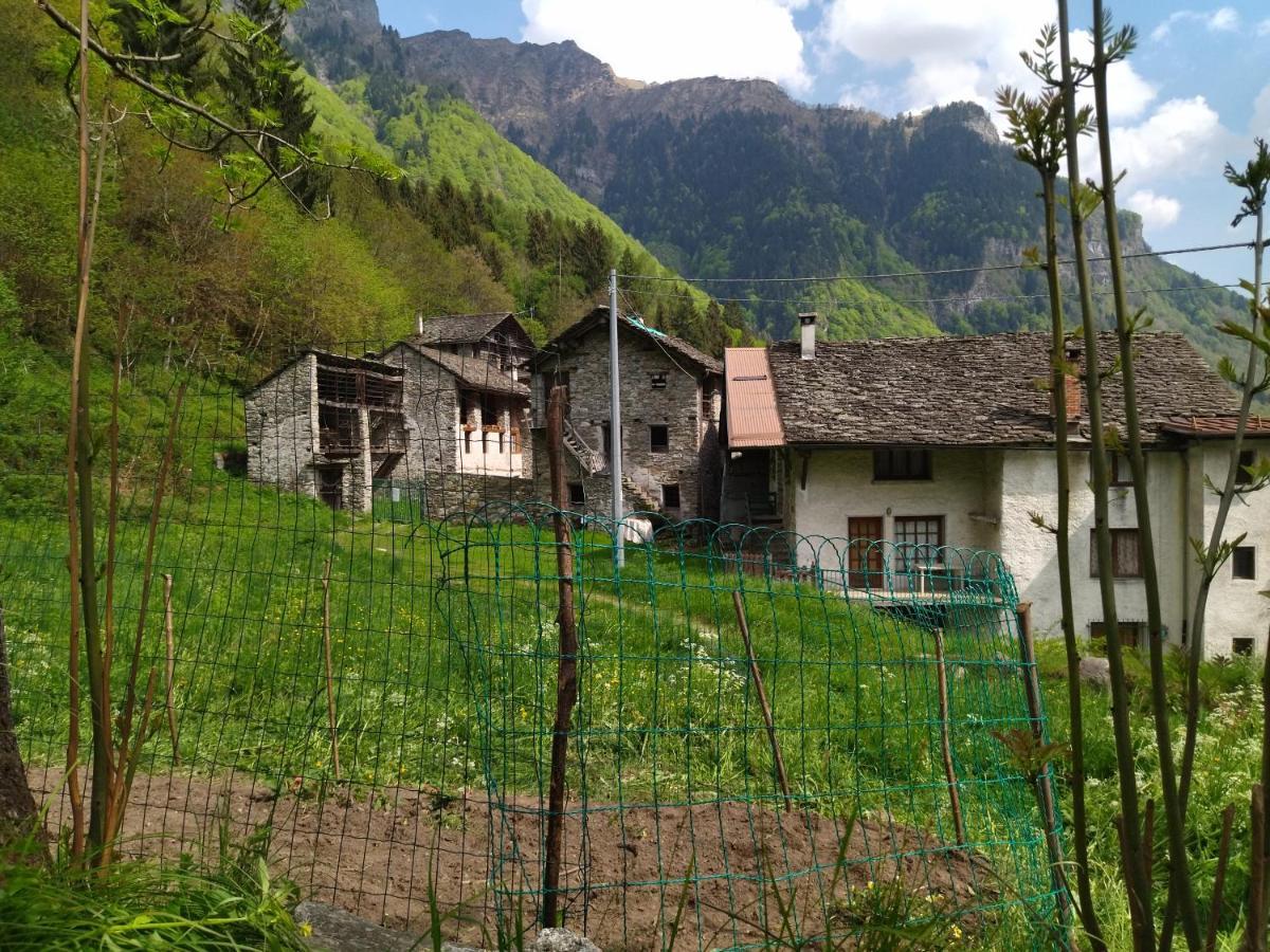Il Fiume Di Fianco. Appartamento Alta Valsesia Mollia Eksteriør bilde